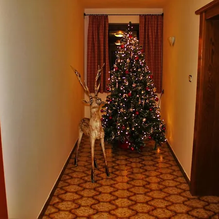 Nocleg ze śniadaniem Alpenzeit Flachau