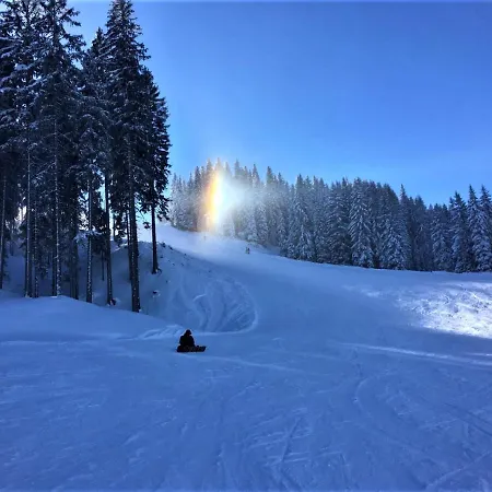 Alpenzeit Nocleg ze śniadaniem Flachau