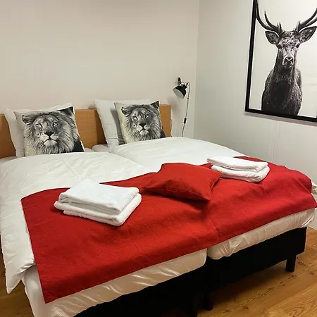 Alpenzeit לינה וארוחת בוקר פלאכאו